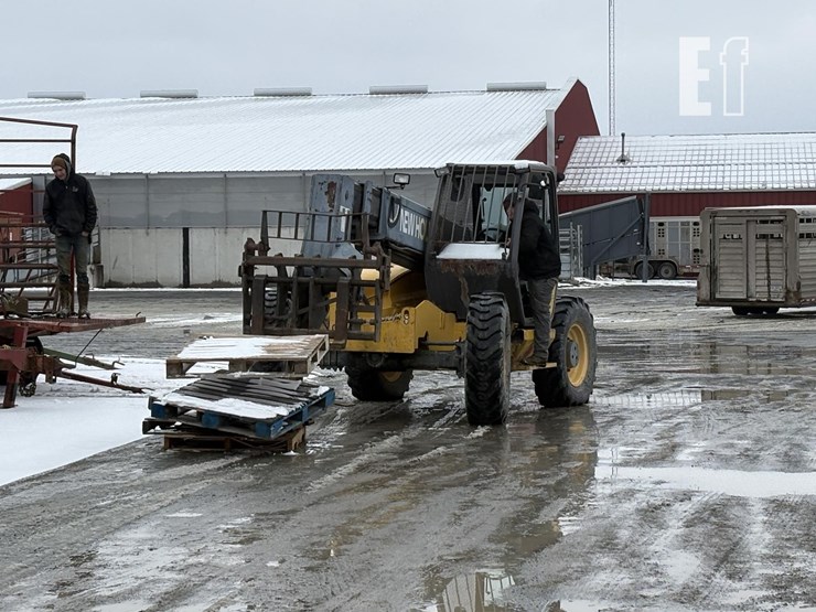 sunflower-6331-22-image-7