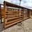 (10)-free-standing-24'-cow-panels-w/2-gates-image-2