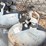 #9-•-propane-tanks-image-9
