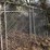 #77-•-3-galvanized-6-foot-high-chain-link-gates-image-1