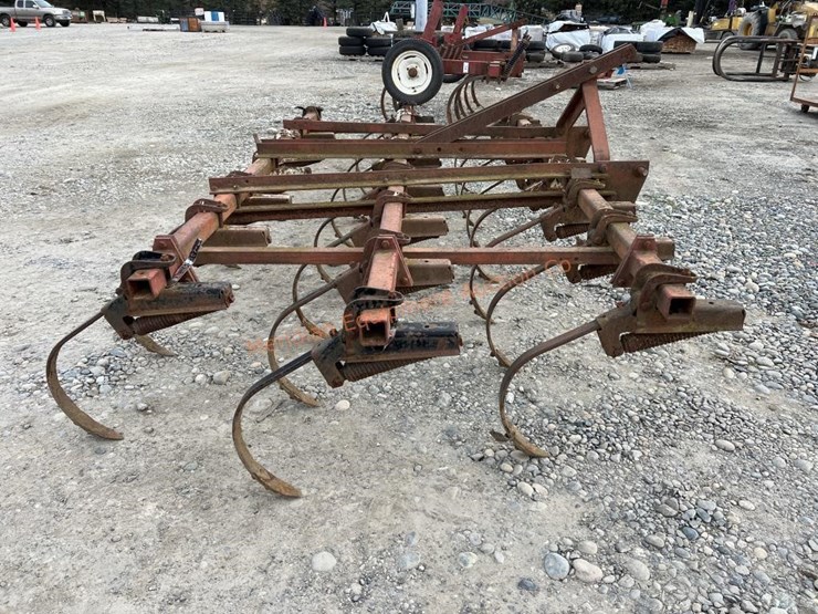 international-45-image-6