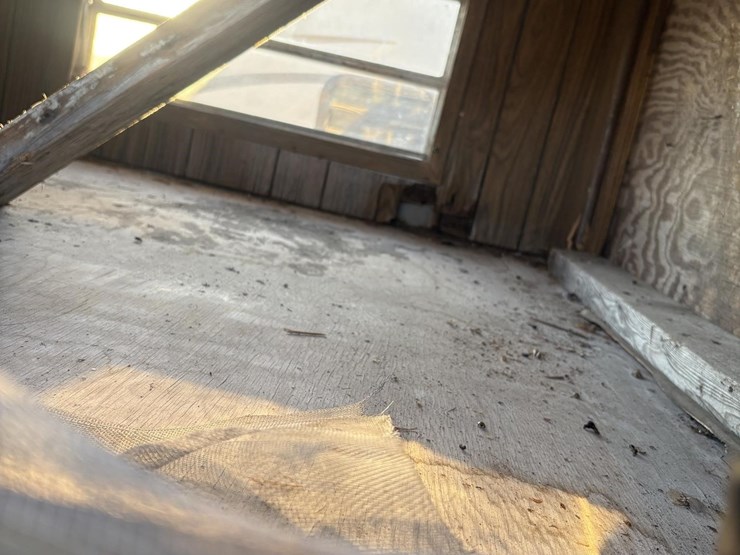 1900-unknown-1900-image-13