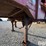 1990-gooseneck-s/a-livestock-trailer-image-15
