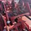 case-ih-8530-image-8