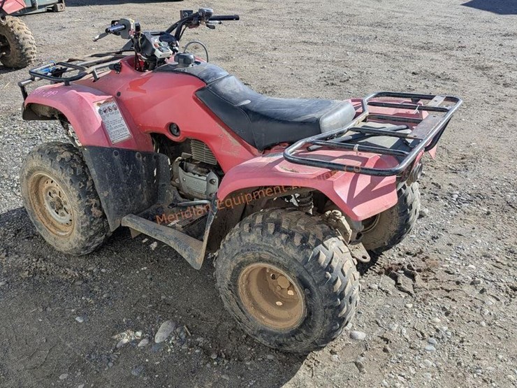 2009-honda-trx250tm-image-5