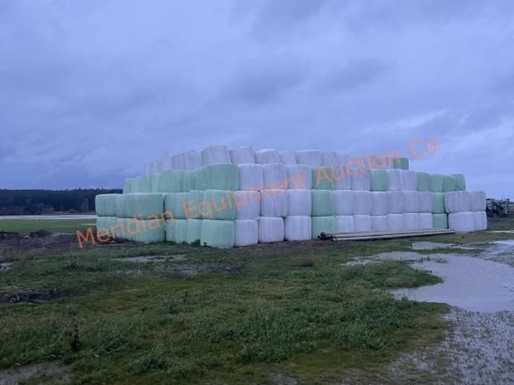 oat-&-pea-mix-haylage-round-bales-x-20--laconner-image-2