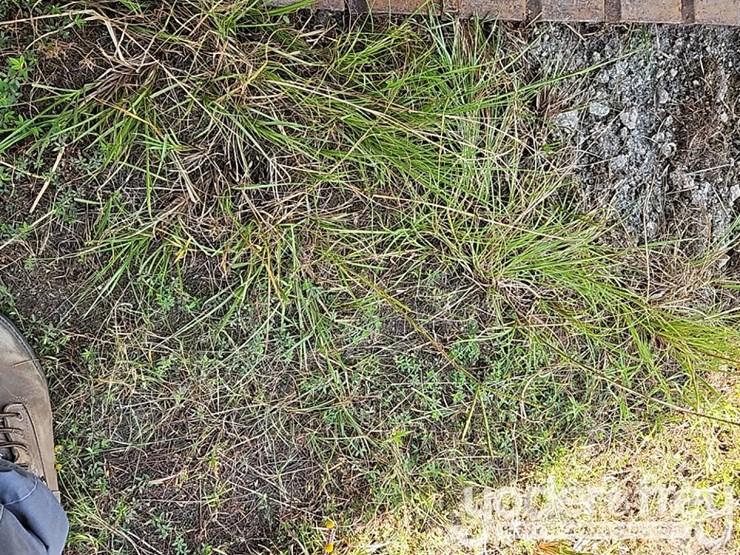 ingersoll-rand-lm500c-image-39