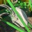 2018-john-deere-1910-image-200