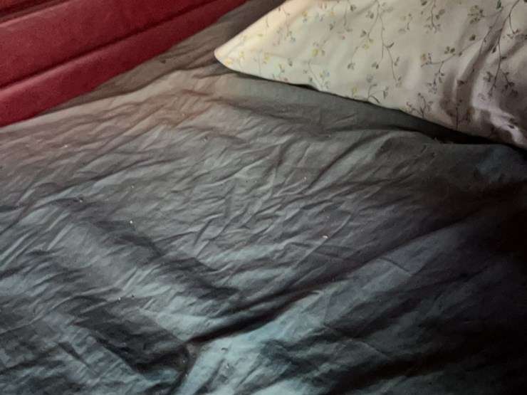 2003-peterbilt-379-image-58