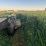 oat-&-pea-mix-haylage-round-bales-x-20--laconner-image-1