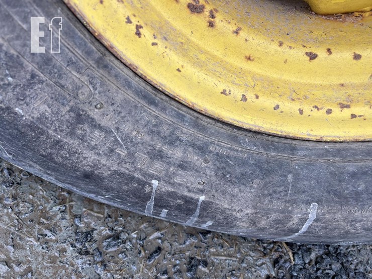 sunflower-6331-22-image-6