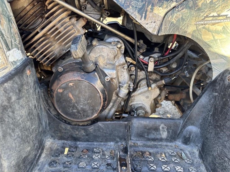 2009-yamaha-grizzly-350-image-16