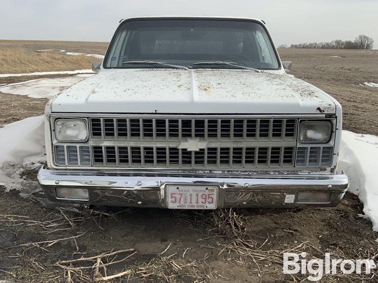 1981-chevrolet-custom-deluxe-image-2