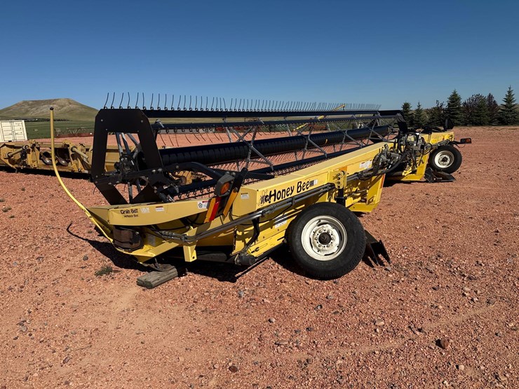 honey-bee-st30-image-2