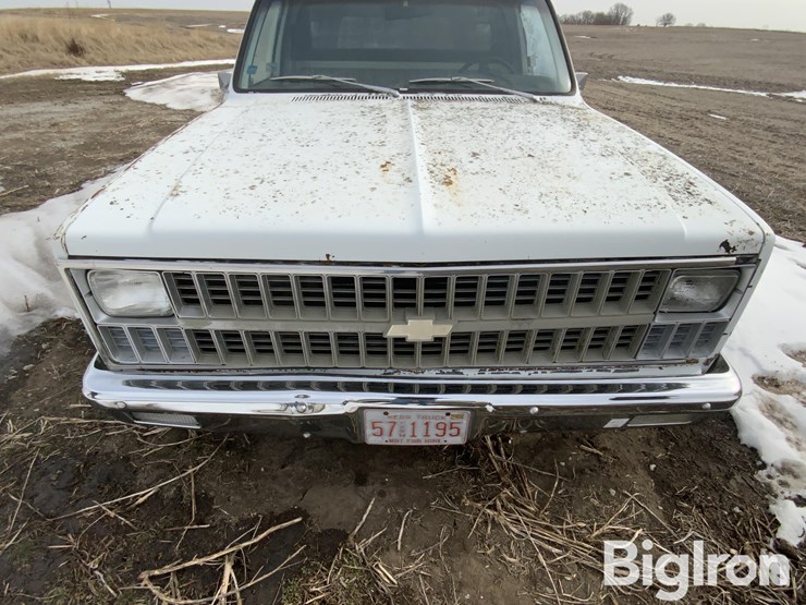 1981-chevrolet-custom-deluxe-image-10