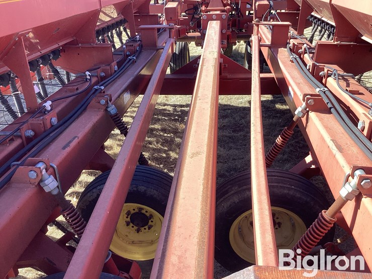 sunflower-9432-40-image-12