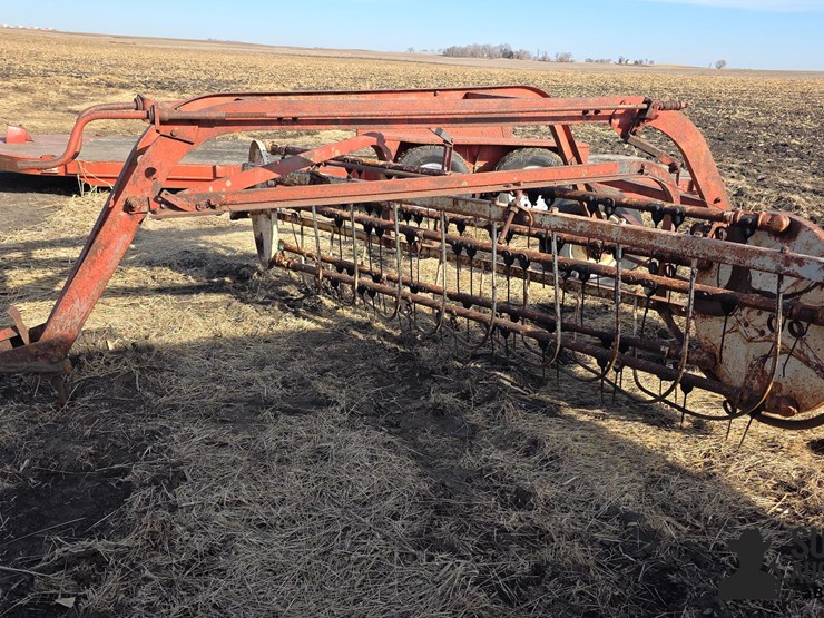 international-5-image-8