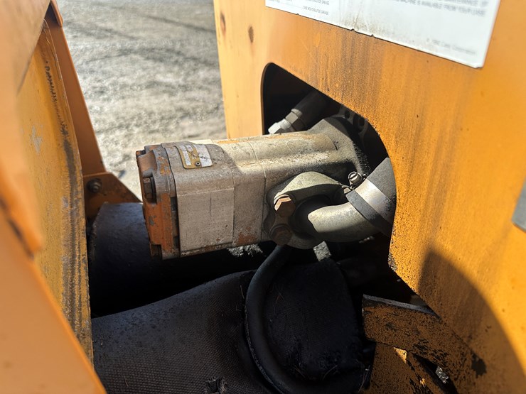 case-maxi-sneaker-image-31