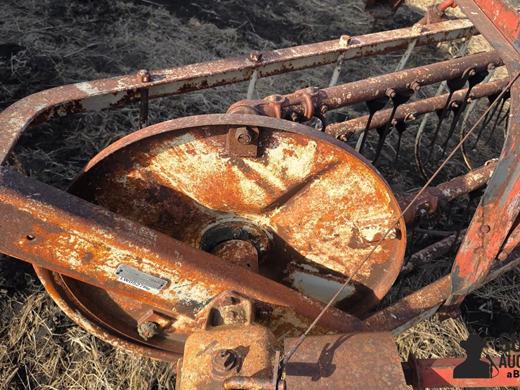 international-5-image-9