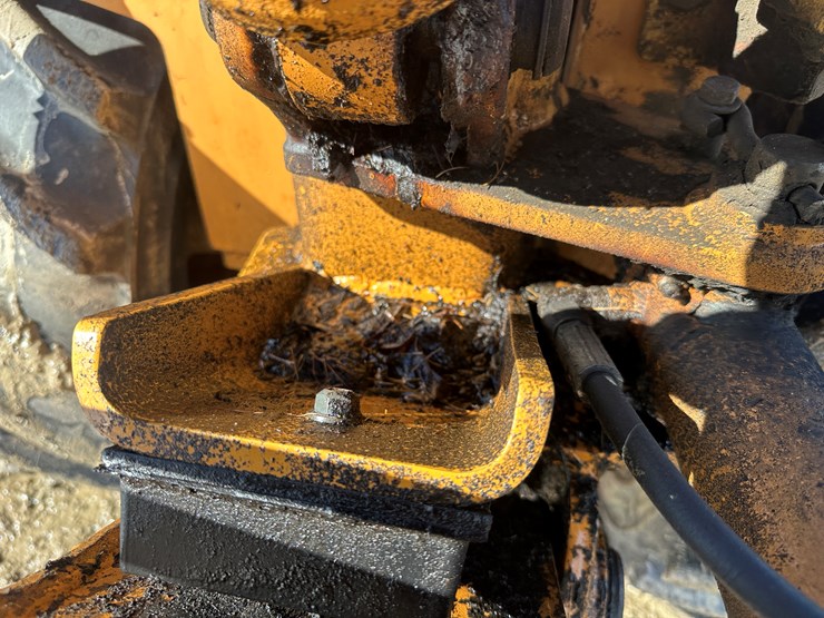 case-maxi-sneaker-image-54