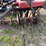 #41043-•-tandem-levee-plow-w/-w&a-seeder-image-21