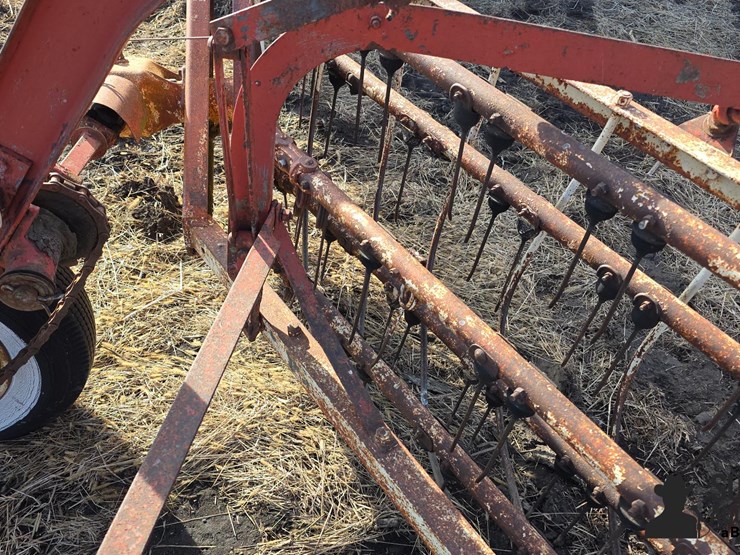 international-5-image-17