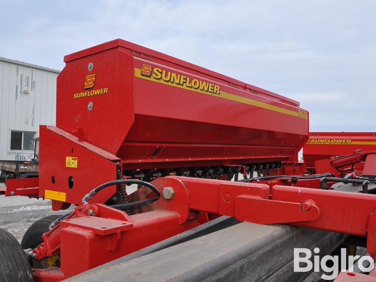 2021-sunflower-9435-image-12