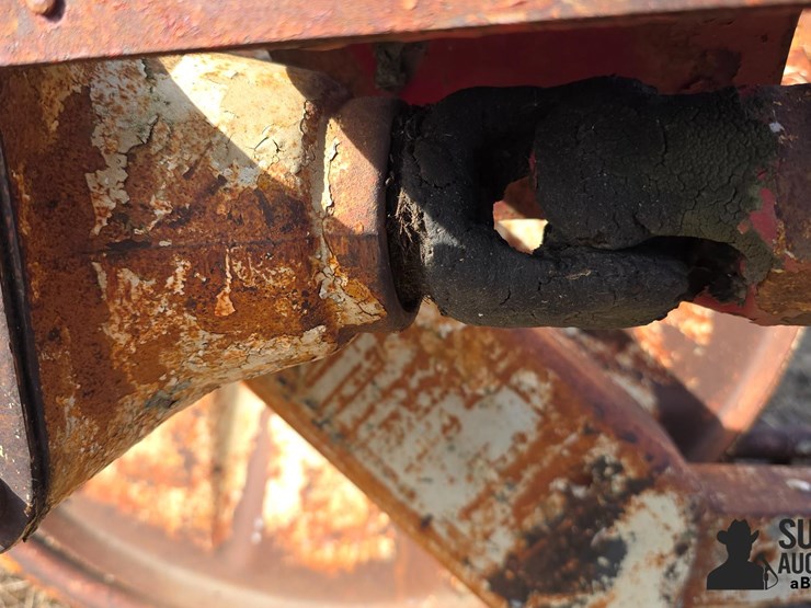 international-5-image-19