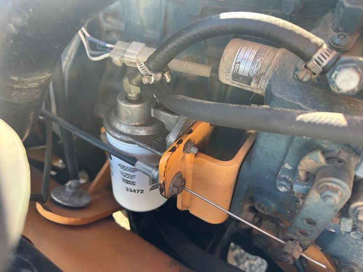 case-maxi-sneaker-image-27