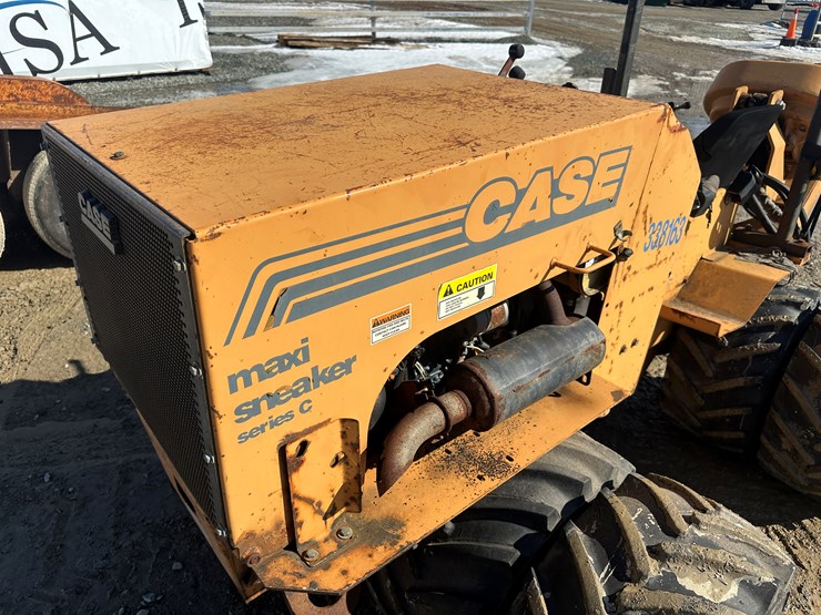 case-maxi-sneaker-image-17