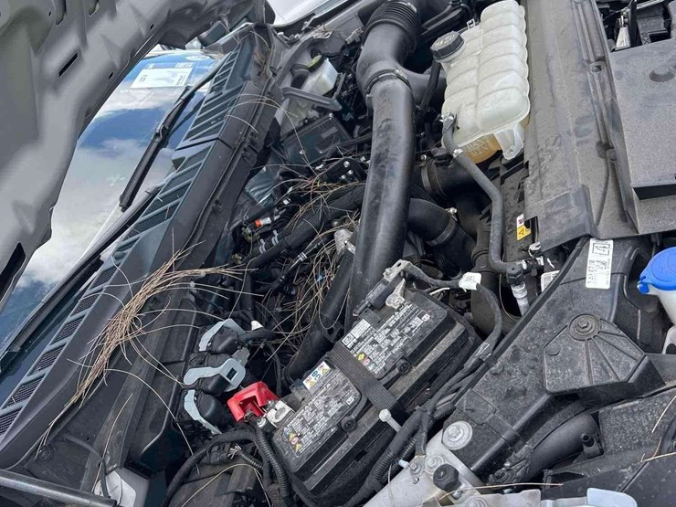 2024-ford-f150-image-7