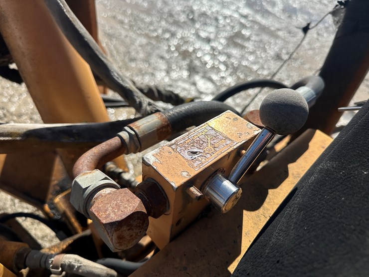 case-maxi-sneaker-image-46