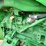john-deere-8370r-image-11
