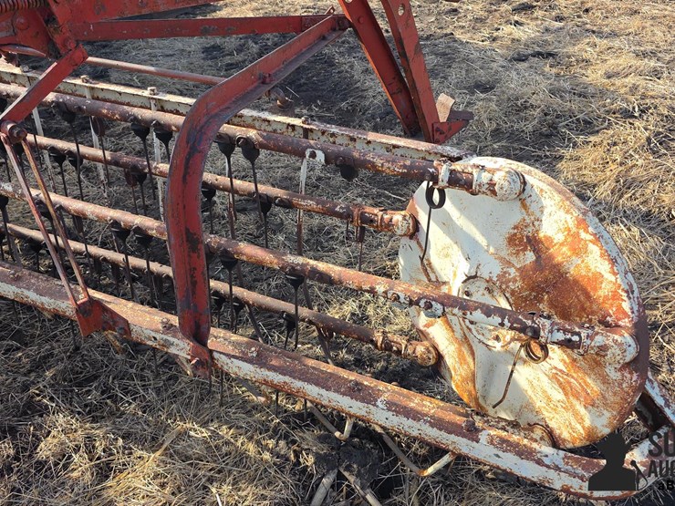 international-5-image-14