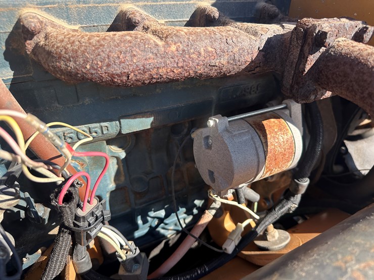 case-maxi-sneaker-image-22