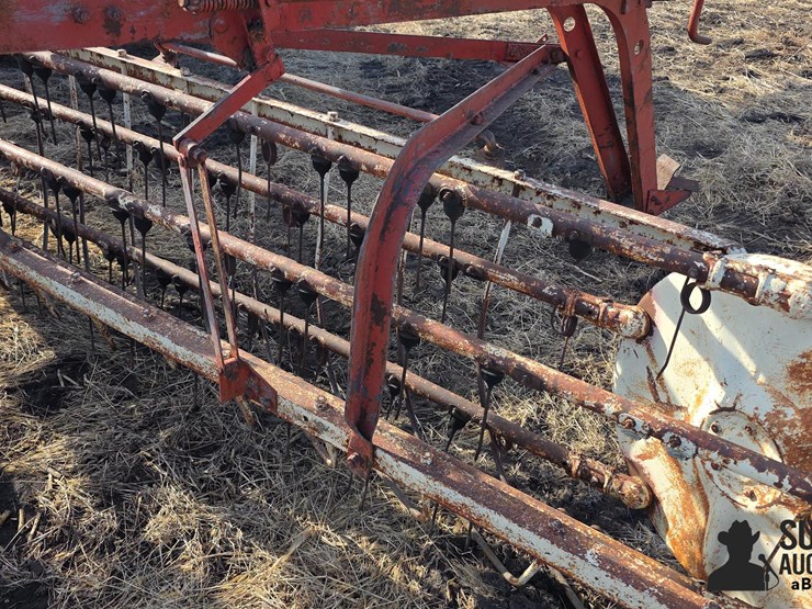 international-5-image-15