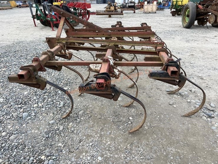 international-45-image-3