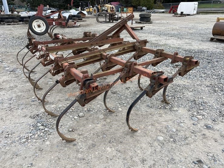 international-45-image-5