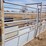 w/w-manual-cattle-chute-3-adjustable-alley-image-9