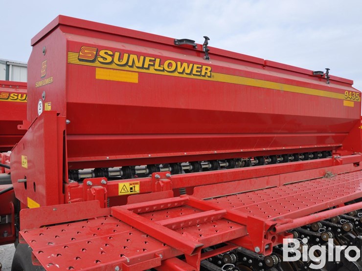 2021-sunflower-9435-image-15