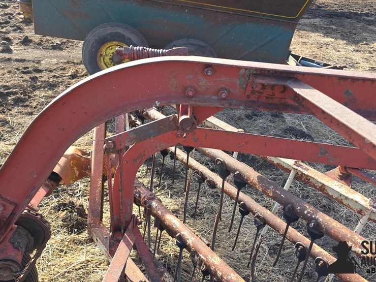 international-5-image-16