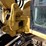 2013-caterpillar-308e-image-16