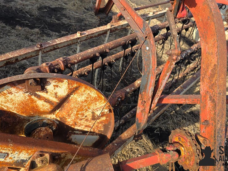 international-5-image-10