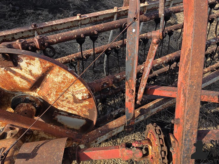 international-5-image-20