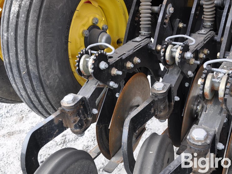 2021-sunflower-9435-image-20