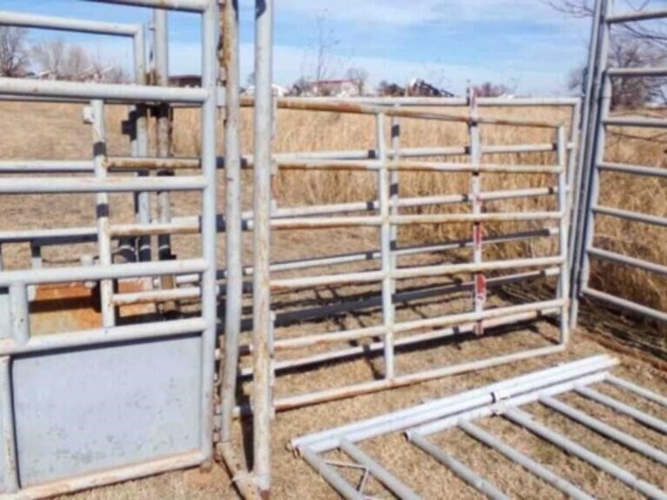 w/w-manual-cattle-chute-3-adjustable-alley-image-14