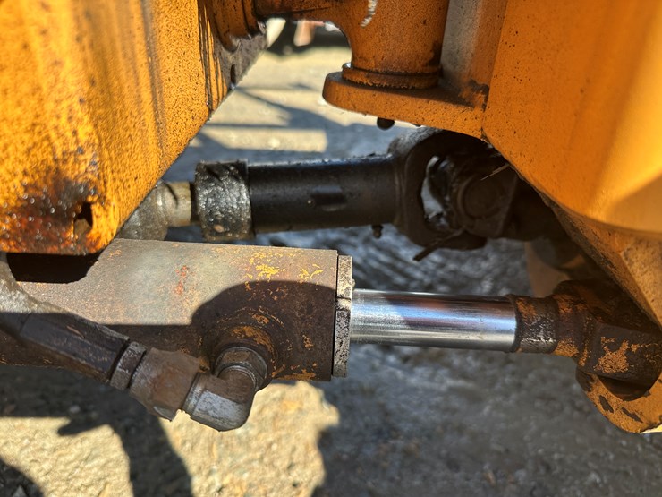 case-maxi-sneaker-image-35