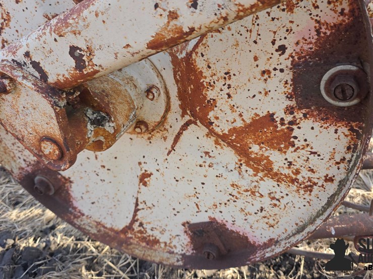 international-5-image-13