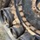 #41005-•-2022-zuidberg-36"-combine-tracks-image-18
