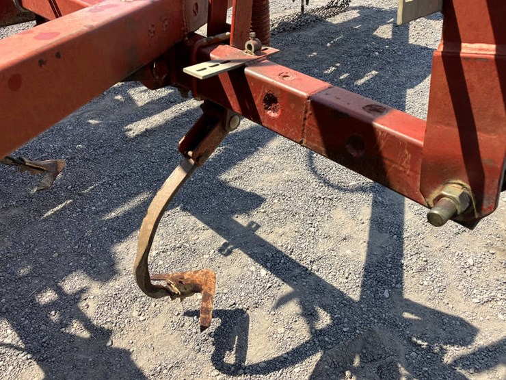 sunflower-5452-image-13